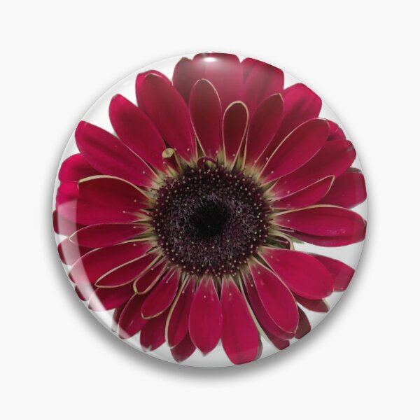 Item preview, Red gerbera Daisy designed and sold by Phoebew03.