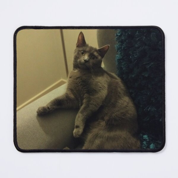 Item preview, #288 |☼| " 'Sup? " - Mimi (Cats) designed and sold by Naean H.F. (Nez Man).