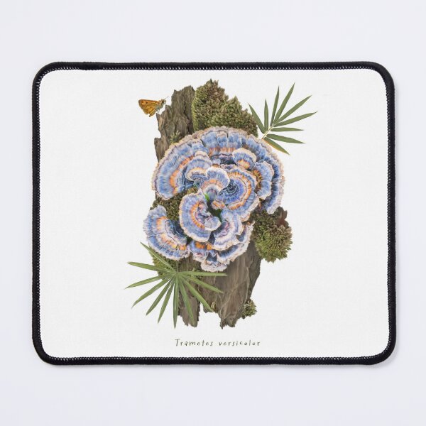 Item preview, Trametes versicolor designed and sold by JoseT360.