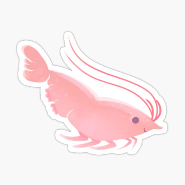 Item preview, Tiny Shrimp designed and sold by Catbumsy.