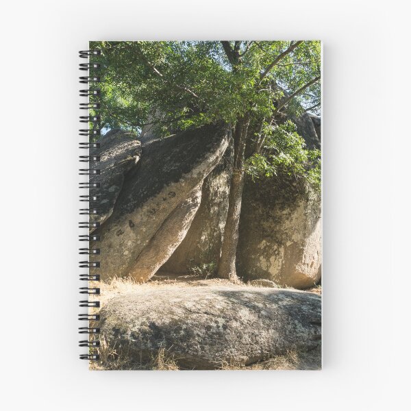 Item preview, Tree Hugging Megaliths at Prehistoric Thracian Sanctuary Beglik Tash in Bulgaria designed and sold by Georgia Mizuleva.