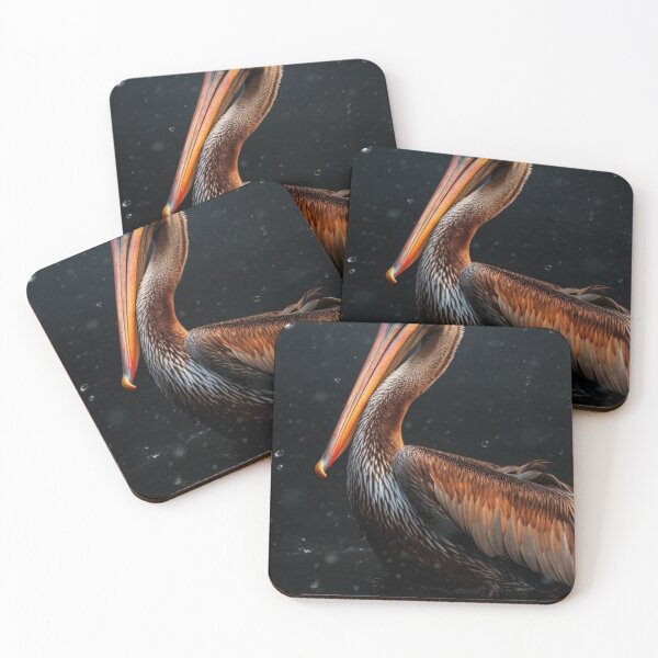 Item preview, Pelican (Pelecanus occidentalis) in water designed and sold by aiphotosart.