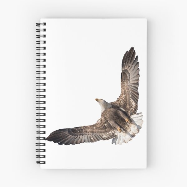 Item preview, The Wings Of An Eagle 2018 isolated designed and sold by Thomasyoung.