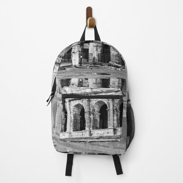 Item preview, Black and White Roman Architecture with Reflection designed and sold by Febraio.