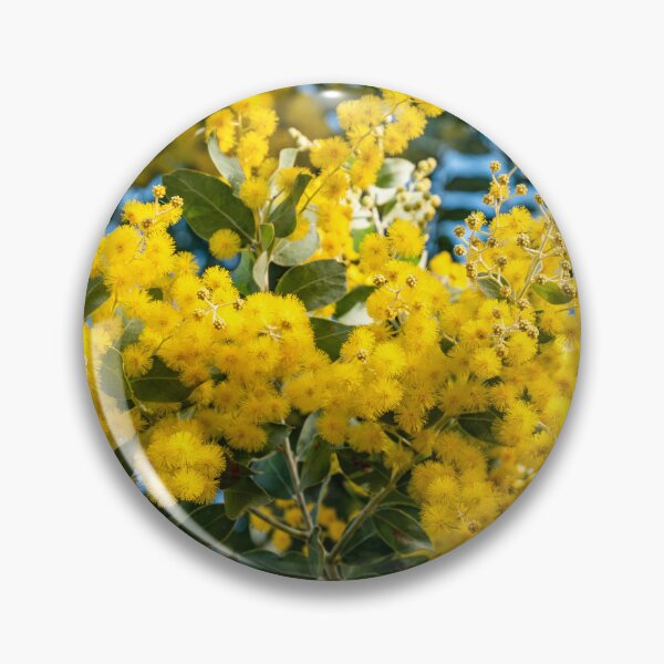 Item preview, Australian Golden Wattle (Acacia Pycnantha) designed and sold by rossacampbell.