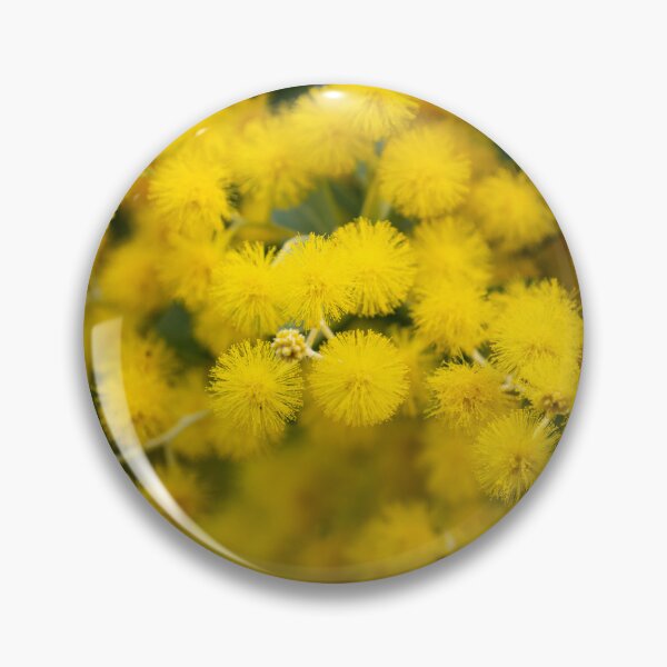 Item preview, Australian Golden Wattle (Acacia Pycnantha) designed and sold by rossacampbell.