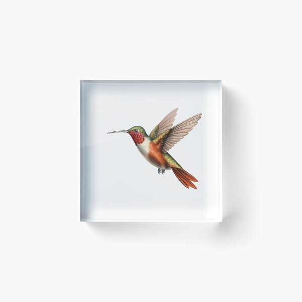 Item preview, Beautiful Colorful Hummingbird designed and sold by RobertConklin.
