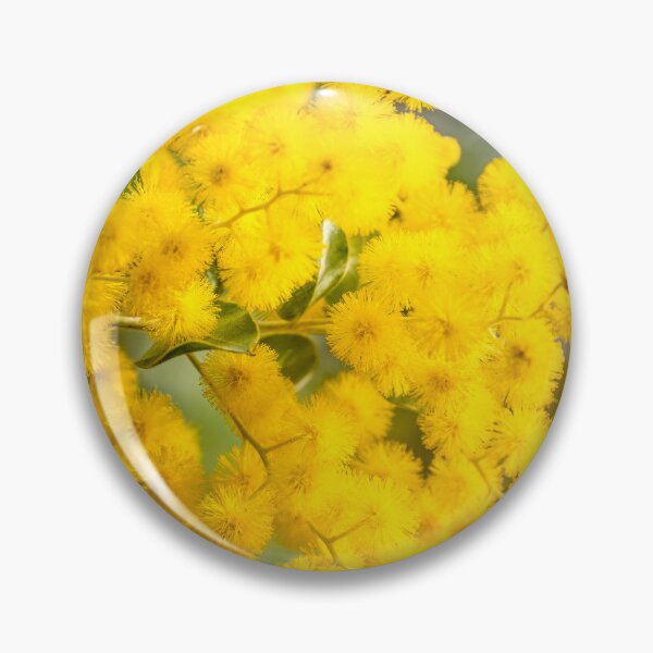 Item preview, Australian Golden Wattle (Acacia Pycnantha) designed and sold by rossacampbell.