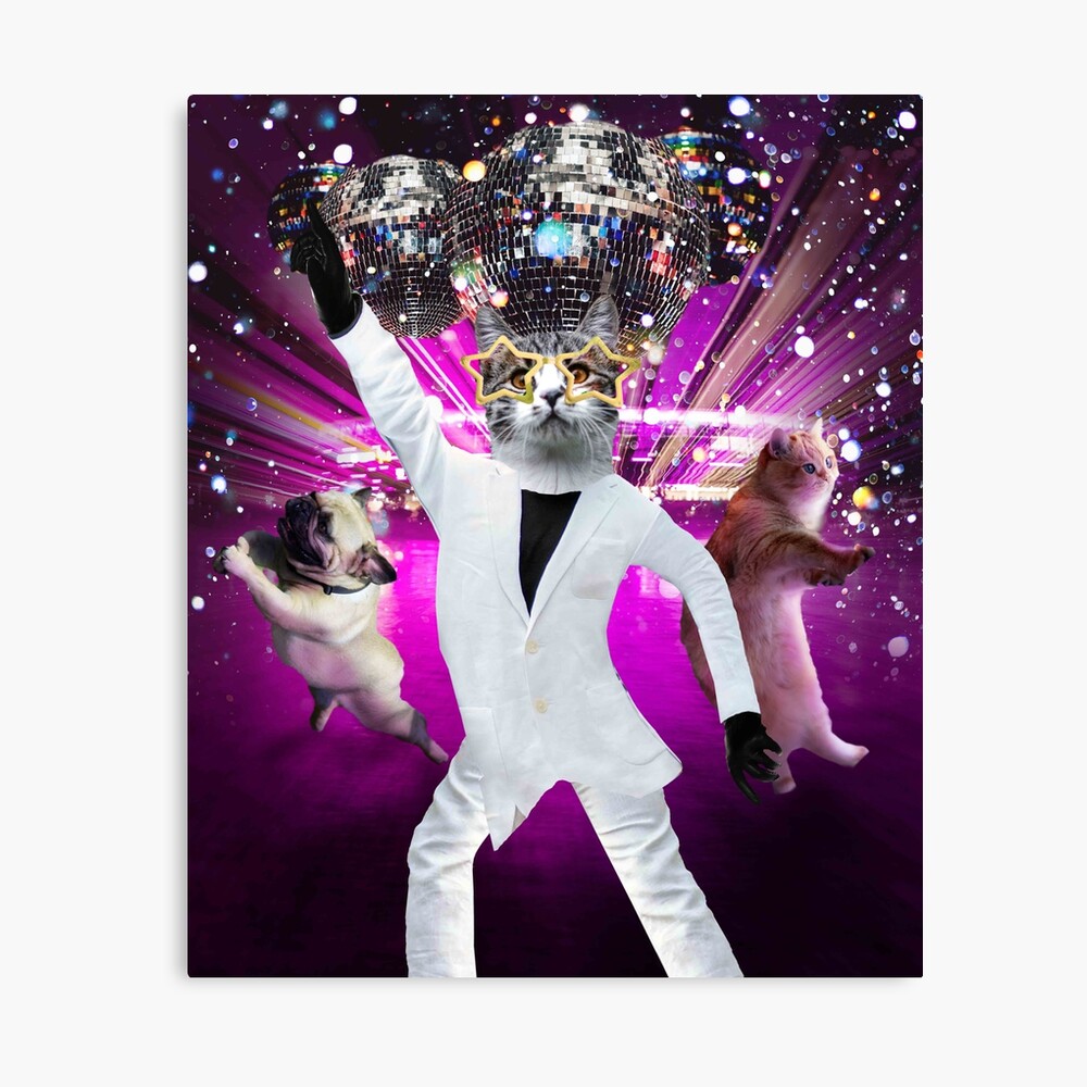 Disco Cat Rave Dancing Cats Funny