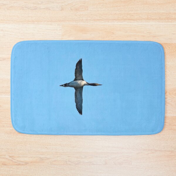 Item preview, Fly by. Red-throated loon designed and sold by Jouko Lehto Photography.