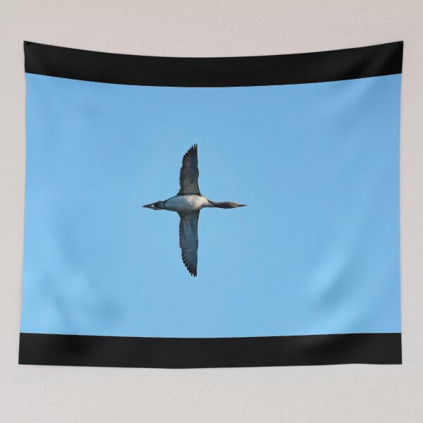 Item preview, Fly by. Red-throated loon designed and sold by Jouko Lehto Photography.
