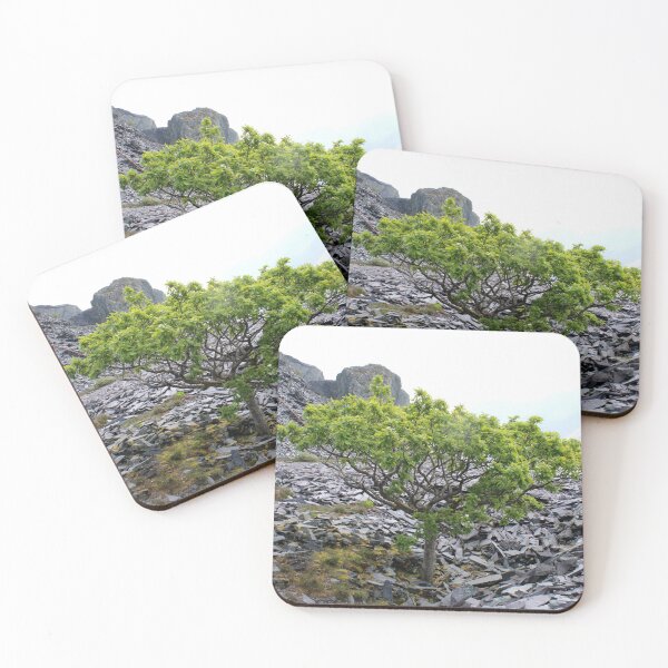 Item preview, quarry tree designed and sold by KathleenDawson.
