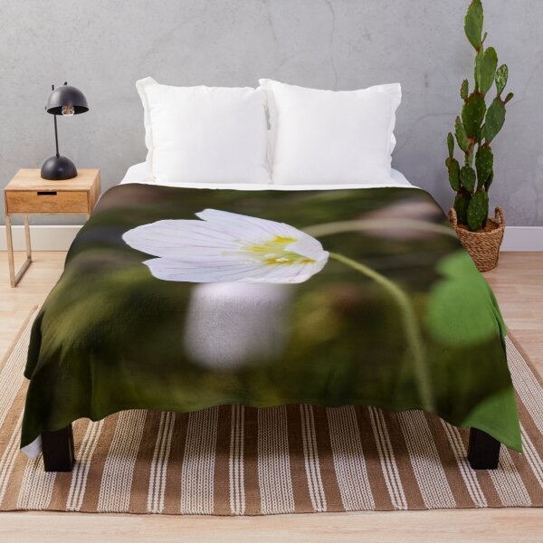 Item preview, Fox bread they say. Wood sorrel designed and sold by Jouko Lehto Photography.