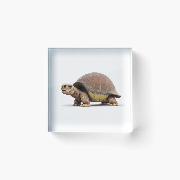 Item preview, Galapagos Giant Tortoise designed and sold by Pride-Casuals.