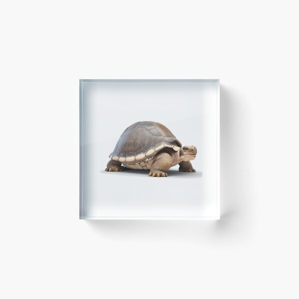 Item preview, Galapagos Giant Tortoise designed and sold by Pride-Casuals.