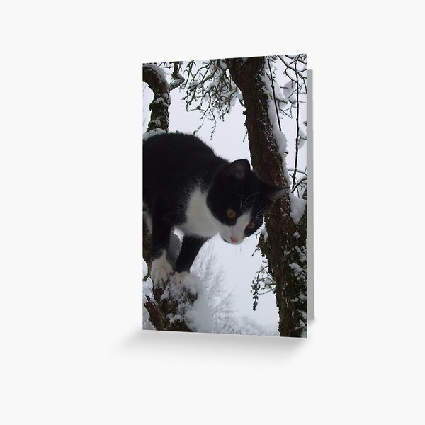 Stinky Eric in the snow Greeting Card