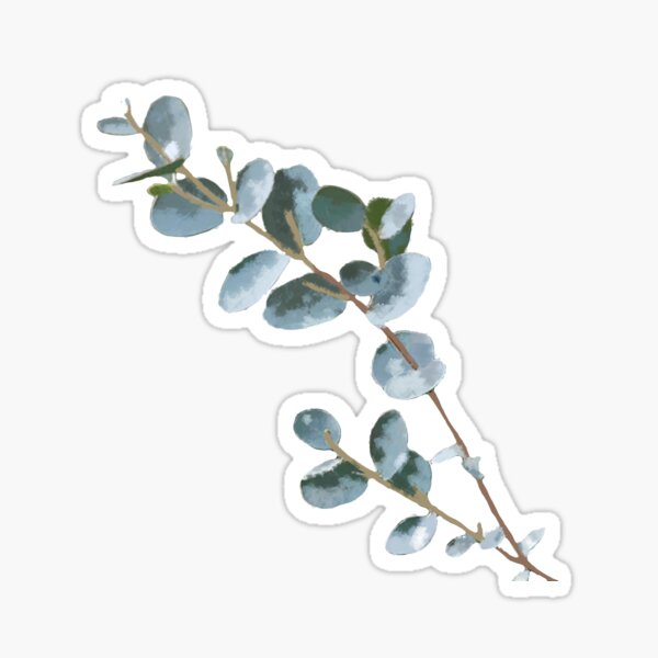 watercolor eucalyptus Sticker