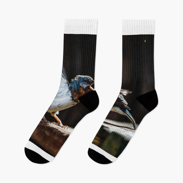 Item preview, Two baby birds of the European Swallow (Hirundo rustica) are fighting designed and sold by aiphotosart.