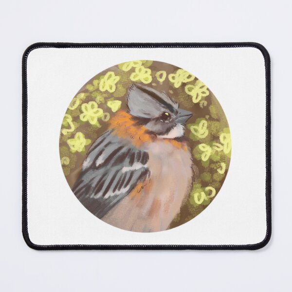 Item preview, Chincol designed and sold by Chincolita.