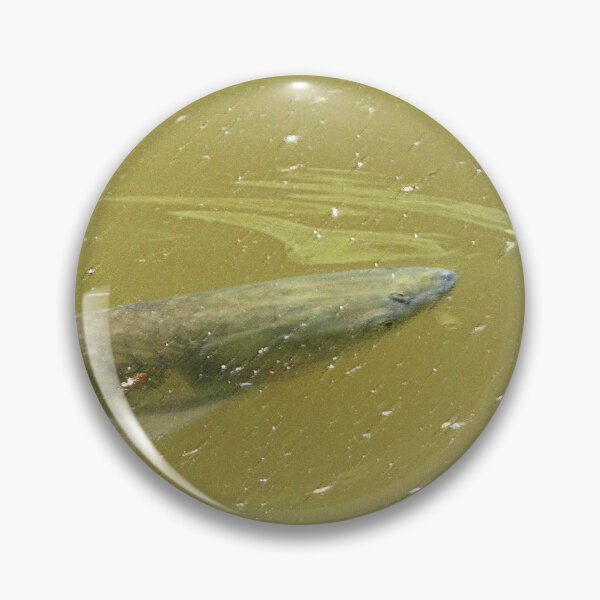 Item preview, Grasscarp fish designed and sold by mary02.
