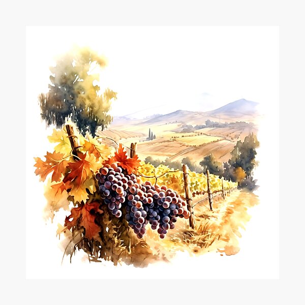 Item preview, Rolling Vineyard Clipart, Vines and Hills, Grapevine Views, Vineyard Scenery, Gentle Slopes, Winemaking Territory, Rolling Landscapes designed and sold by CoolorPainting.