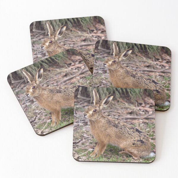 Item preview, Hare Today, Gone Tomorrow designed and sold by Krys Bailey.