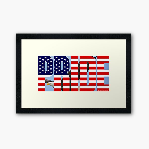 American Pride Framed Art Print