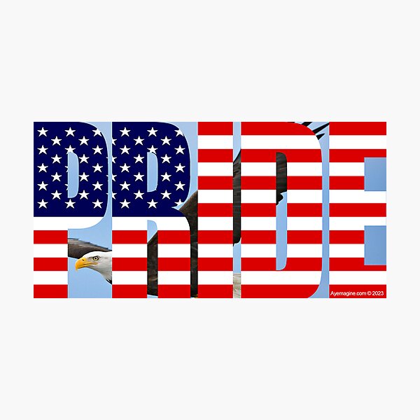 American Pride Photographic Print