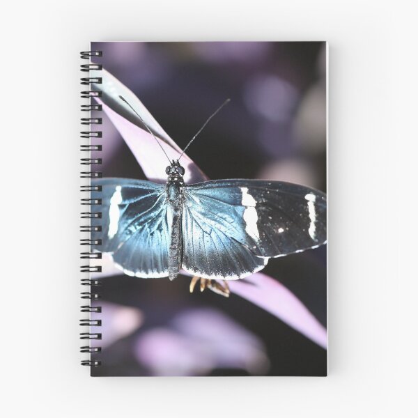 Item preview, Sara Longwing butterfly designed and sold by elainefg.