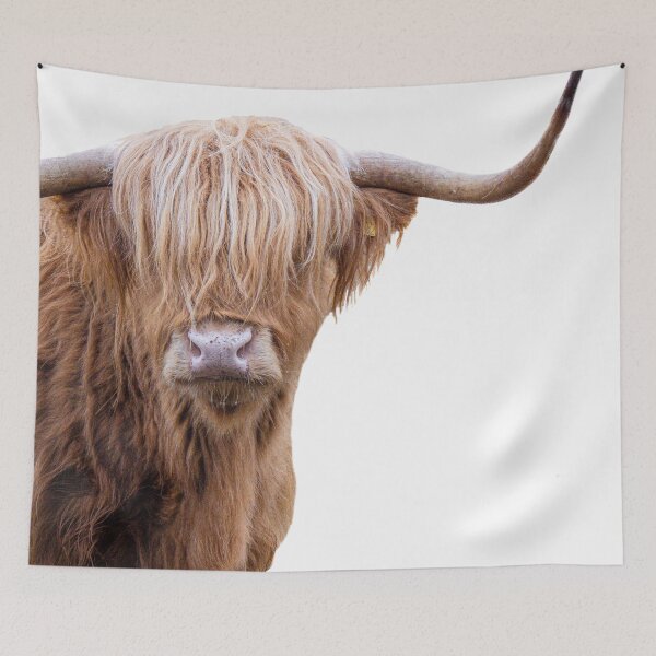 Item preview, Highlander Cow designed and sold by victoria frost.