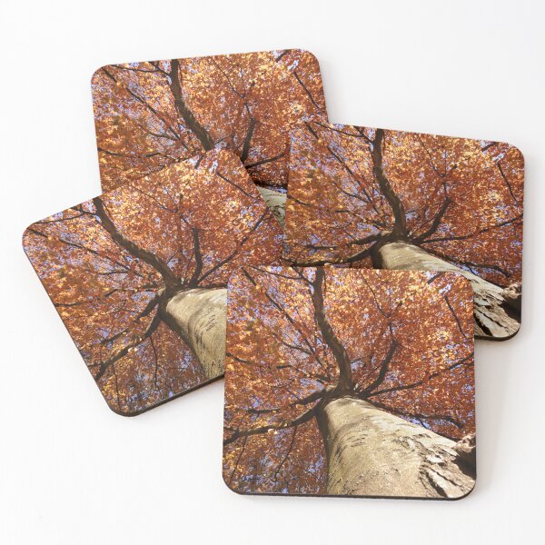 Item preview, Autumn Beech designed and sold by Dave Currie.