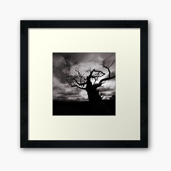Stormy Tree Framed Art Print