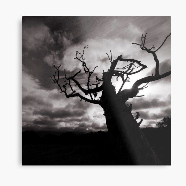 Stormy Tree Metal Print