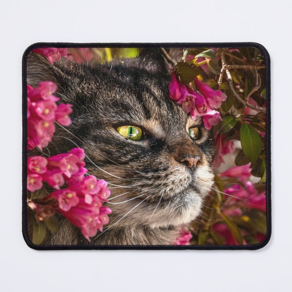 Item preview, cat look designed and sold by tiefenunscharf.