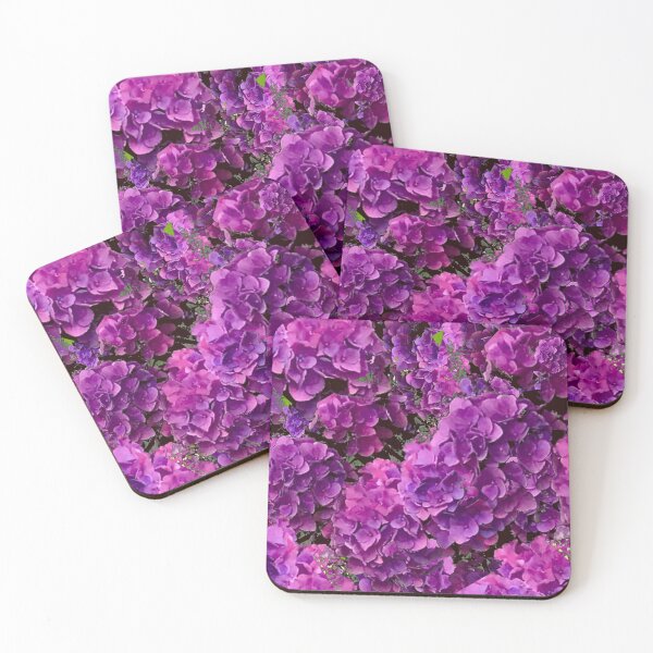 Item preview, Beautiful Cape Cod hydrangea print designed and sold by Susan Gallup.