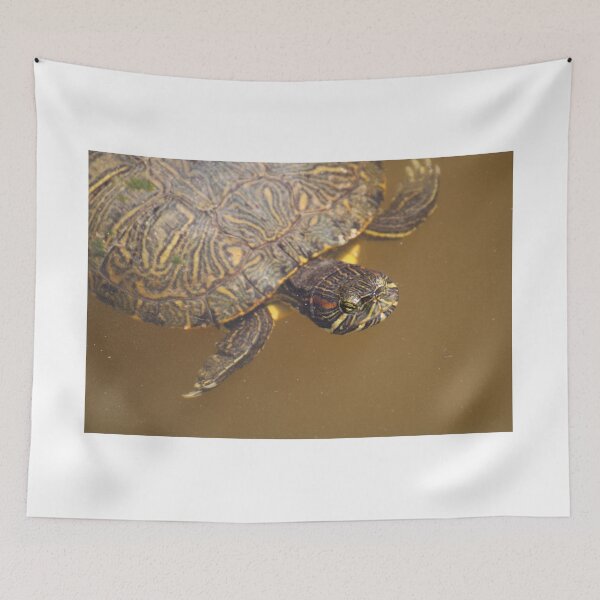 Item preview, Swimming turtle designed and sold by djsfoto.