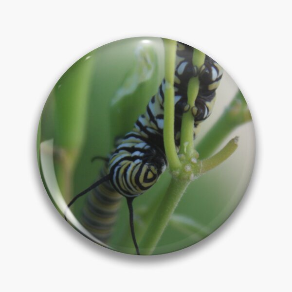 Item preview, Catepillar lunch time designed and sold by djsfoto.