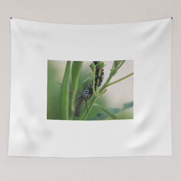 Item preview, Catepillar lunch time designed and sold by djsfoto.