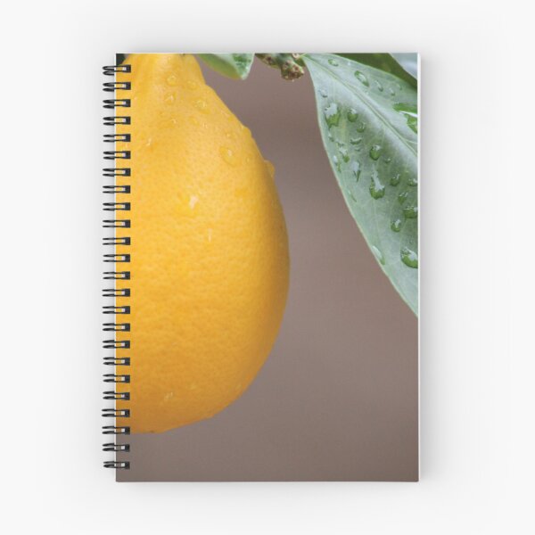 Item preview, Orange designed and sold by djsfoto.