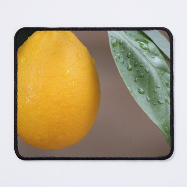 Item preview, Orange designed and sold by djsfoto.
