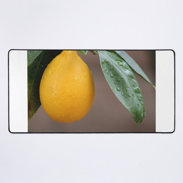 Item preview, Orange designed and sold by djsfoto.