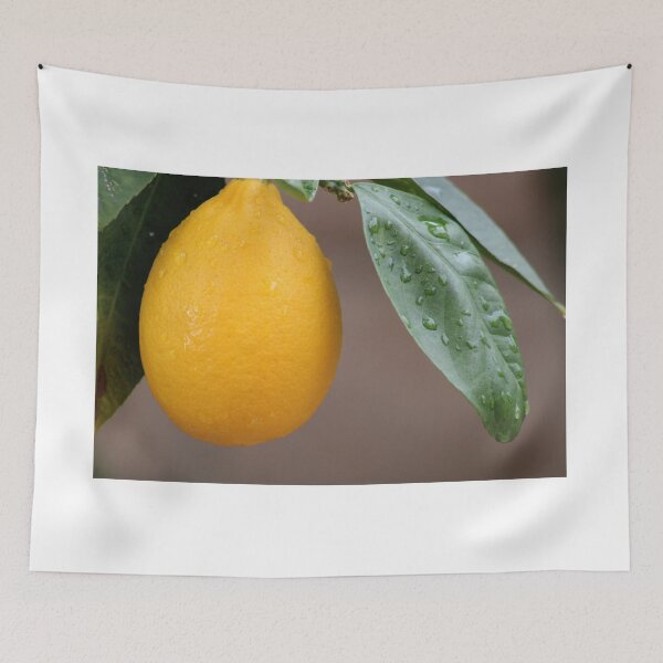 Item preview, Orange designed and sold by djsfoto.