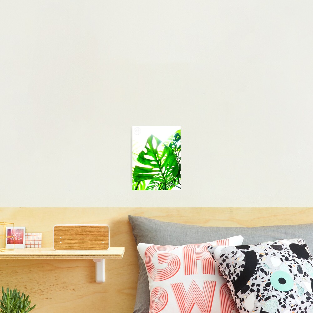 Item preview, Photographic Print designed and sold by OmarHernandez.