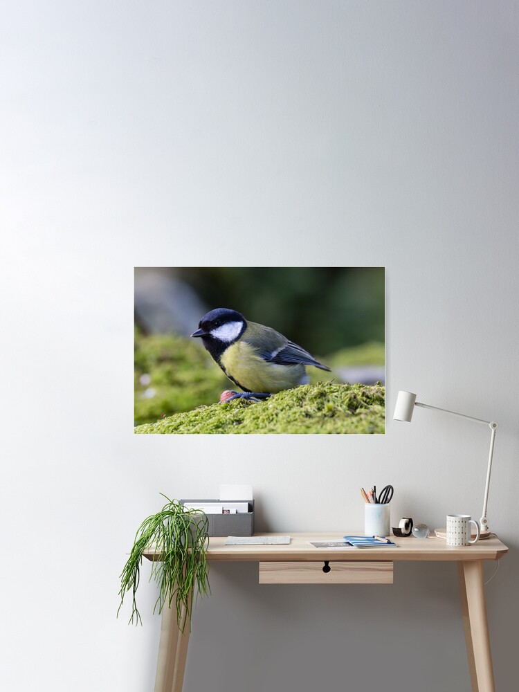 Poster, Great Tit designed and sold by Dave Currie