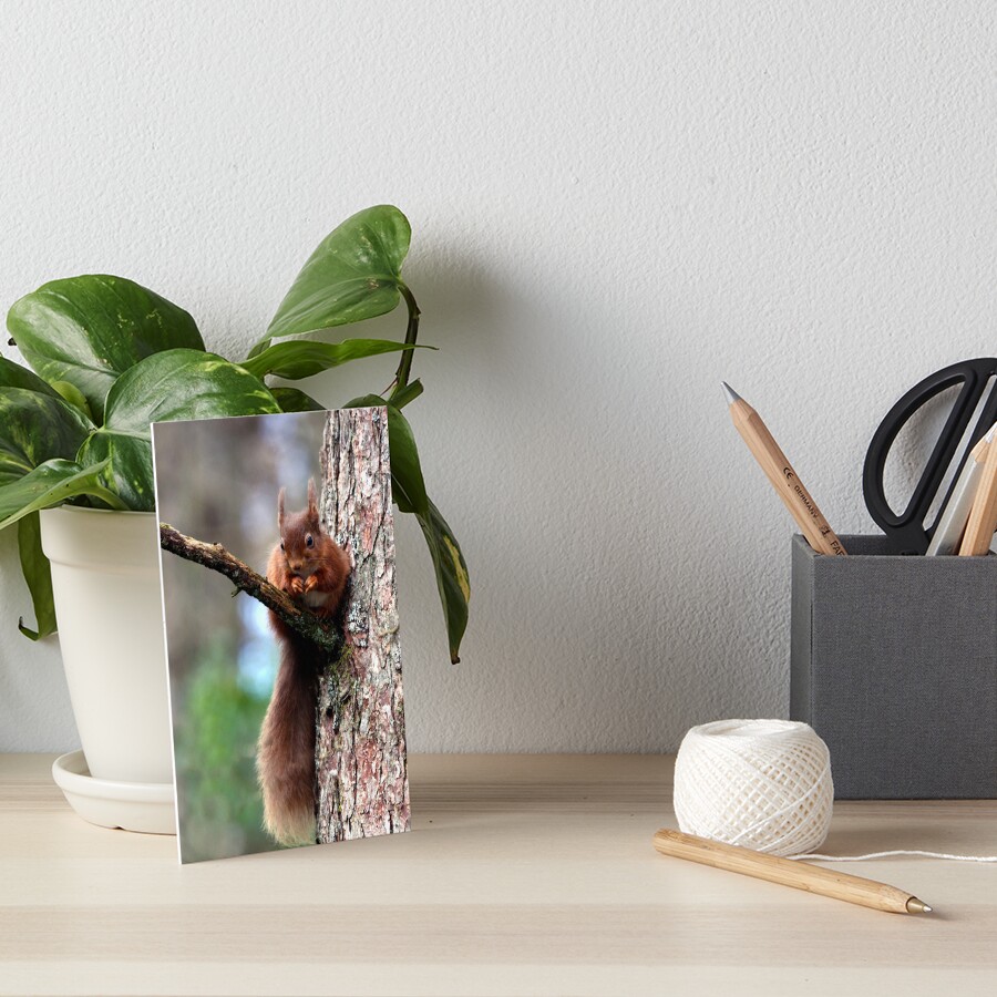 Item preview, Art Board Print designed and sold by davecurrie.
