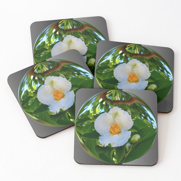 Item preview, White Tree Flower in Clear Globe designed and sold by BostonArcImage.