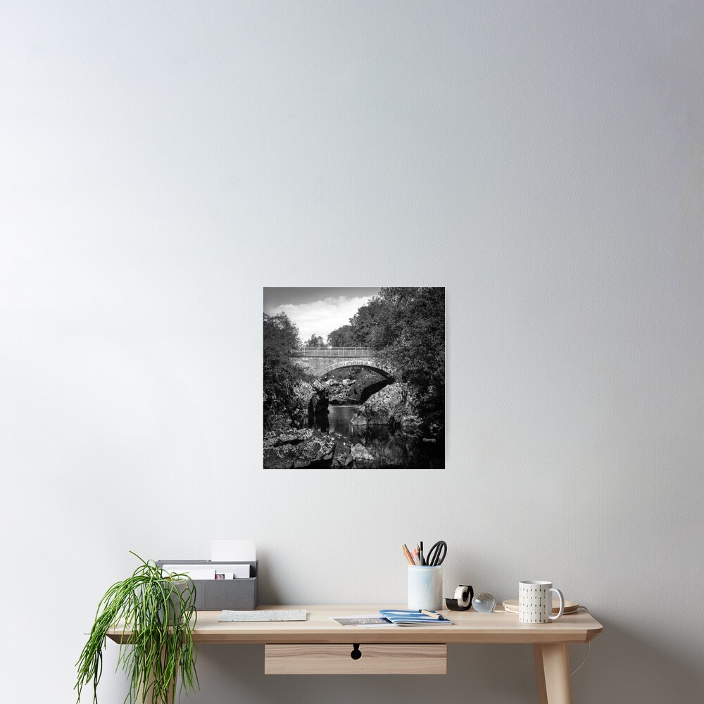 Item preview, Poster designed and sold by davecurrie.
