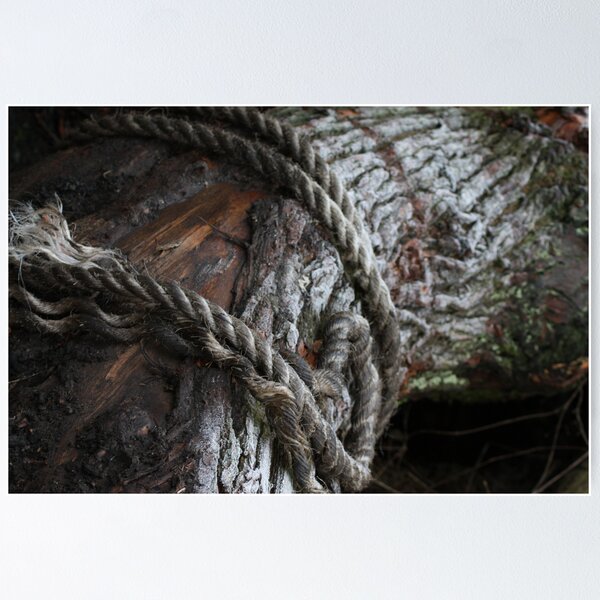 Item preview, Wrapped designed and sold by Rachael Lynch.