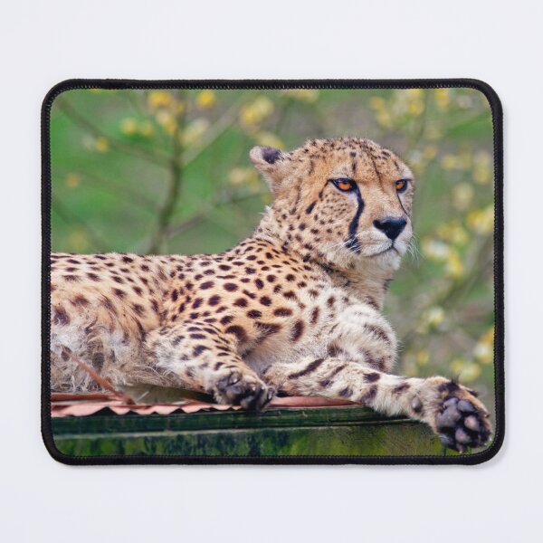 Item preview, Just Chillin' designed and sold by Krys Bailey.