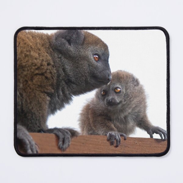 Item preview, Me and Mum (Alaotran Gentle Lemur) designed and sold by Krys Bailey.